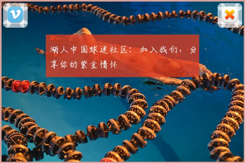 湖人中国球迷社区:加入我们,分享你的紫金情怀