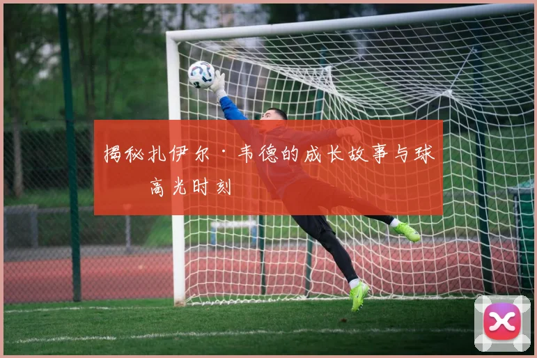 揭秘扎伊尔·韦德的成长故事与球场高光时刻
