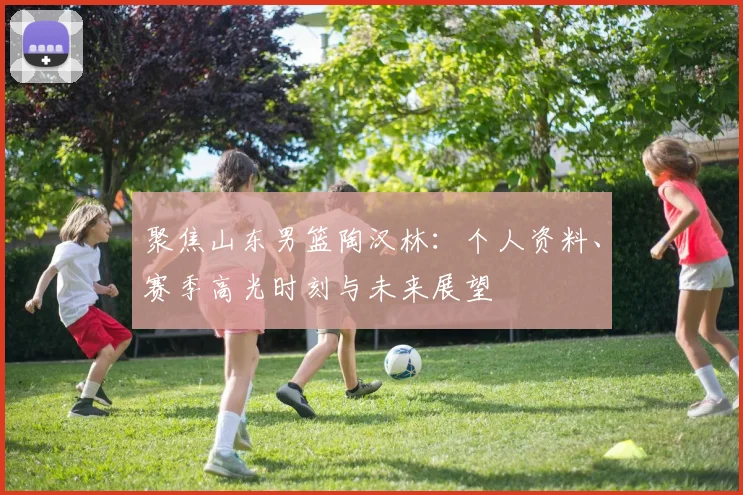 聚焦山东男篮陶汉林：个人资料、赛季高光时刻与未来展望